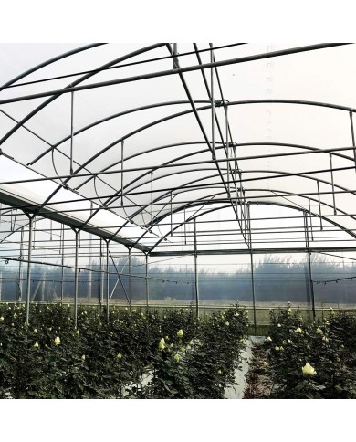 Cerniera Per Apertura Ala Di Gabbiano serre